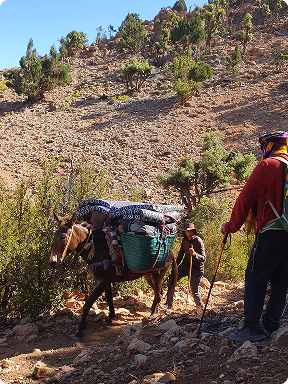 Nos compagnons de route